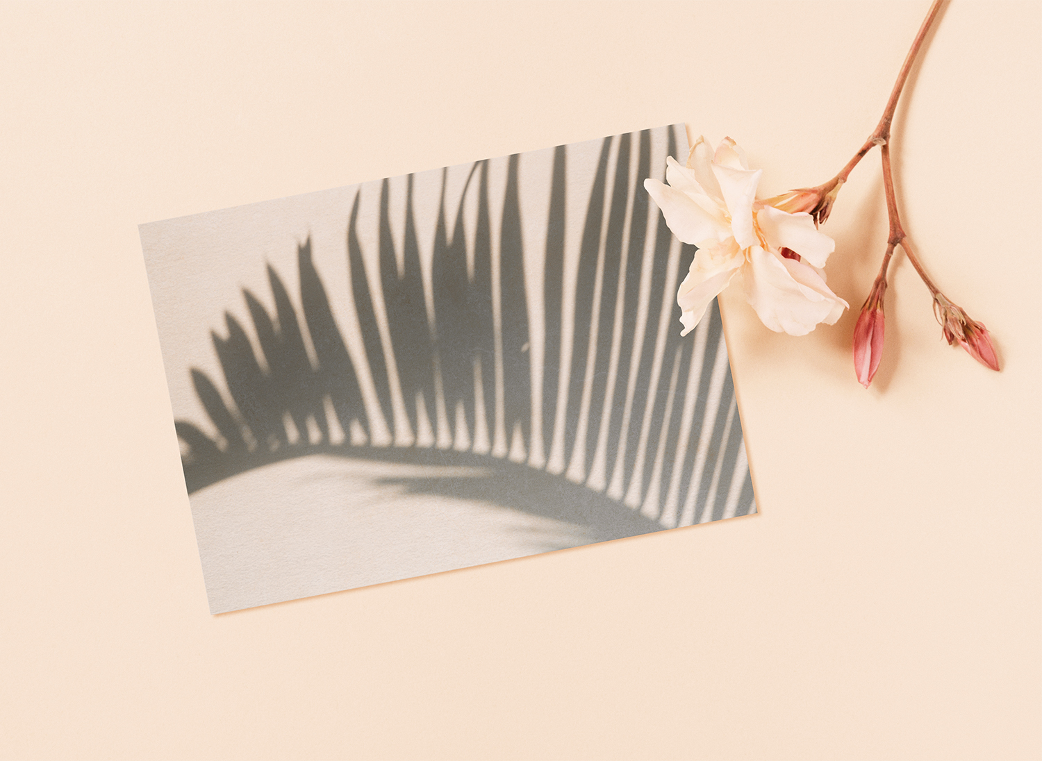 print-mockup